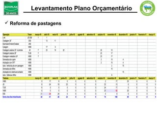 Levantamento Plano Orçamentário

   Reforma de pastagens

Operação                           Trator   março-10    abril-10   maio-10   junho-10   julho-10   agosto-10   setembro-10   outubro-10   novembro-10   dezembro-10   janeiro-11 fevereiro-11   março-11
Link                               JD D50      1           1
Gradagem 36”                        D50                   13         11
Desmatar/Enleirar/Gradear           D50
Calagem                             V885                  17          9
Gradagem aradora 32” c/controle      JD        7          23         19        22                                               22            12
Gradagem aradora 28”                TL95       7                                                                                23            17
Gradagem niveladora 24”             V685       7                                                                                23            17
Semeadura de capim                  V685                                                                                         2            15             4
Adubação com SPT                    V885                                                                                         2            15             4
Aplic. herbicida pós em pastagem    V885                                                                                                       2            15
Semeadura de Milho                  V685                                                                                                      15
Adubação de cobertura/cultivador    V685                                                                                                                  15
Aplic. Defensivo Milho              V685                                                                                                       6
Tratores                                    março-10    abril-10 maio-10 junho-10 julho-10 agosto-10 setembro-10 outubro-10               novembro-10 dezembro-10 janeiro-11 fevereiro-11 março-11
V885                                                0           17       9        0       0         0           0           2                        17          20         0            0         0
JD                                                  8           24      19       23       0         0           0         23                         13           0         0            0         0
TL95                                                8            0       0        0       0         0           0         24                         17           0         0            0         0
V685                                                8            0       0        0       0         0           0         25                         53          20         0            0         0
D50                                                21           34      24        0       0         0           0           0                         0           0         0            0         0
Soma dos dias trabalhados                          24           41      28       23       0         0           0         74                        100          40         0            0         0
 