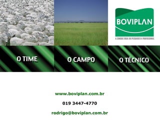 www.boviplan.com.br

    019 3447-4770

rodrigo@boviplan.com.br
 
