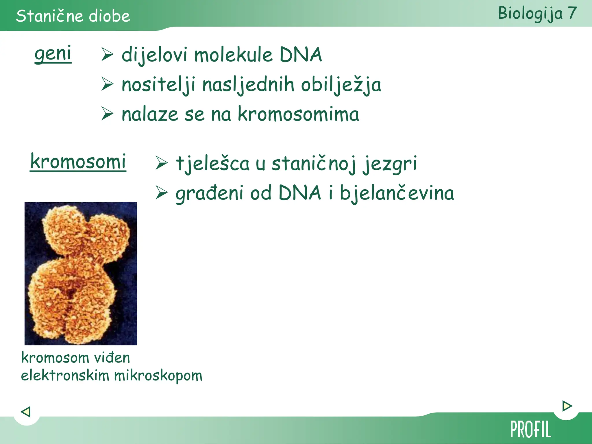 Biologija ćelije za predmetnu nastavu Biologija | PPT