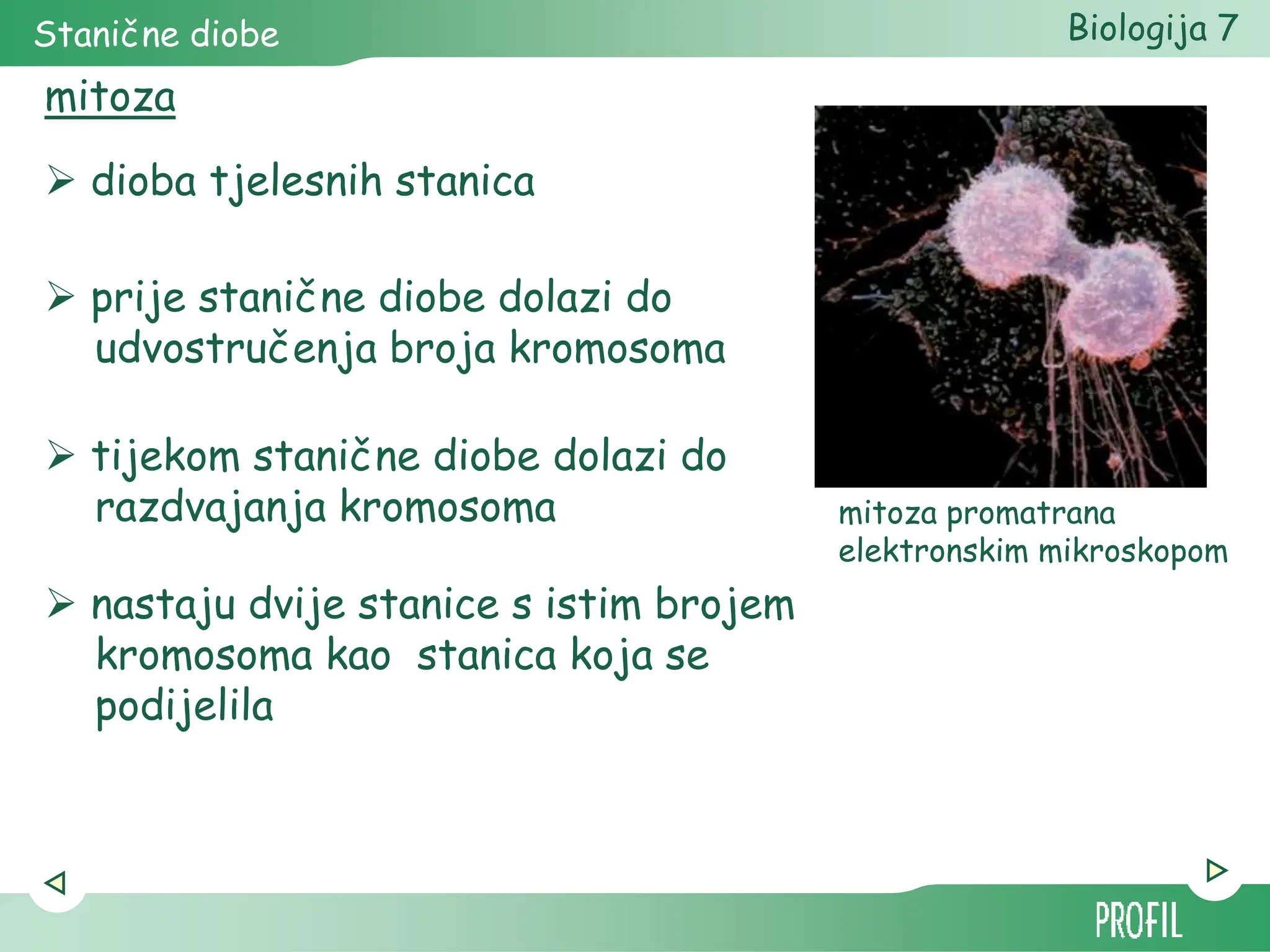 Biologija ćelije za predmetnu nastavu Biologija | PPT
