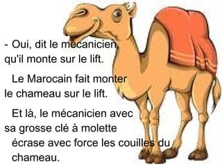 - Oui, dit le mécanicien,
qu'il monte sur le lift.
Le Marocain fait monter
le chameau sur le lift.
Et là, le mécanicien avec
sa grosse clé à molette
écrase avec force les couilles du
chameau.

 