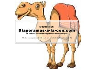 D’autres sur:

Diaporamas-a-la-con.com
Le site des meilleurs diaporamas humoristiques

[Attention le passage du pointeur de souris dans ce cadre déclenche un lien vers le site]

 