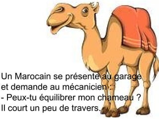 Diaporama PPS réalisé pour
http://www.diaporamas-a-la-con.com

Un Marocain se présente au garage
et demande au mécanicien :
- Peux-tu équilibrer mon chameau ?
Il court un peu de travers.

 