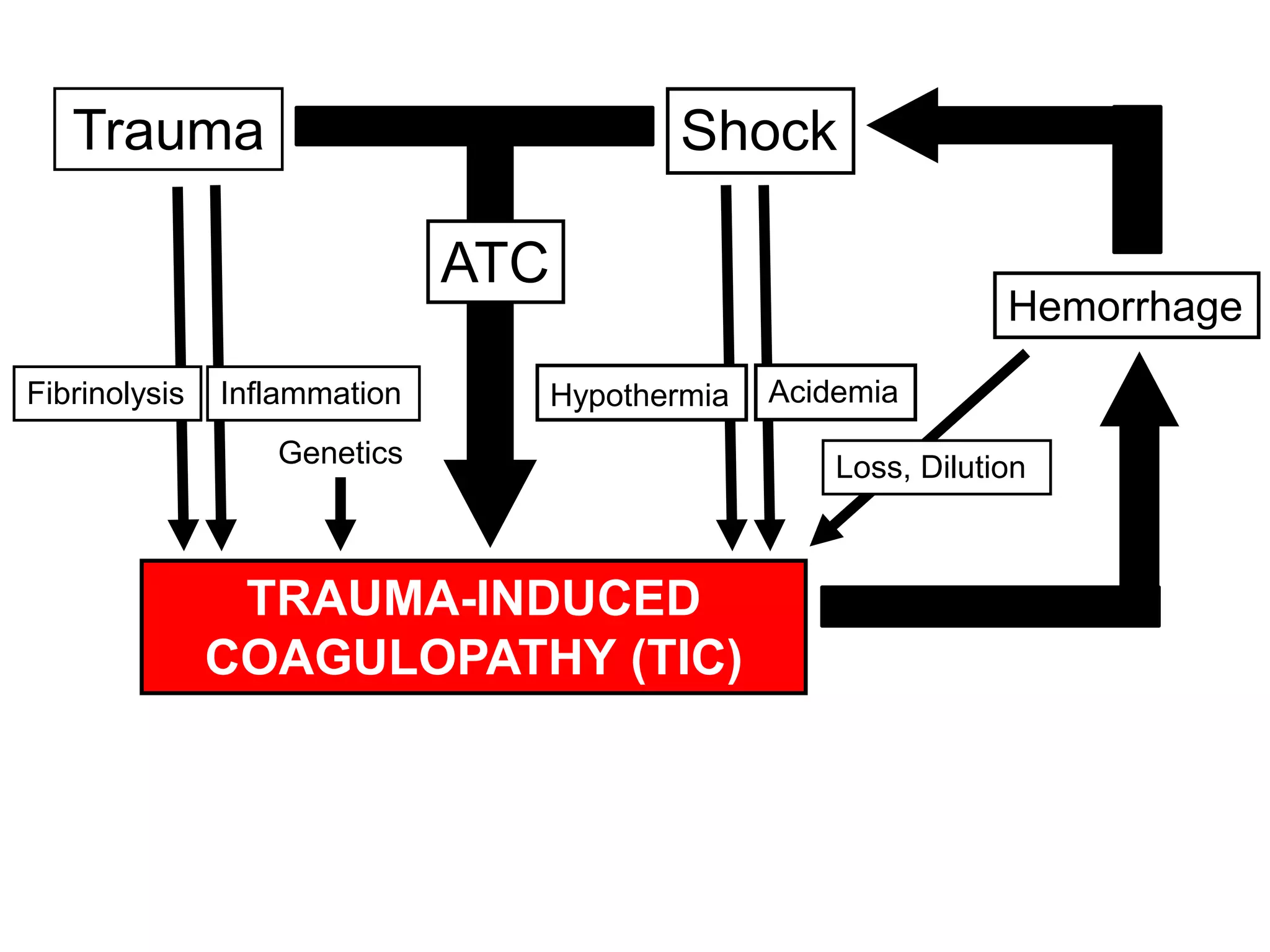 Trauma
Hemorrhage
Genetics
Shock
Fibrinolysis Inflammation Hypothermia Acidemia
Loss, Dilution
ATC
TRAUMA-INDUCED
COAGULOPATHY (TIC)
 
