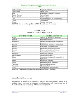 Diagnóstico Municipal Consolidado Mancomunidad Todos Santos
                                               DMC


Jochi Colorao                             Dasprocta punctata
Jicho Pintao                              Agouti Paca
Peta                                      Podocnemis expanza, P. Unifilis
Puerco Tropero                            Tayassu Pecari
Puerco Taitetú                            Talláis Tajacu
Tatú                                      Dasypius kappleri; D. novemcinctus.
Tejón                                     Nasua nasua
Urina                                     Mazama americana.
FUENTE: Elaboración Equipo Técnico I.P.D- Beni (Boletas Comunales)



                                  CUADRO N° 50
                          PRINIPALES ESPECIES DE PESCA.

               NOMBRE COMUN                        NOMBRE CIENTIFICO
Bagre                                     Armadía sp., Pimelodus maculatus.
Bentón                                    Hoplias malabaricus
Blanquillo                                Callophysus macropterus; Pinirampus
                                          pinnampu
Buchere                                   Hoplostemun littorale; H. Thoracatum
Corvina                                   Plagioscion Squamosissismus
Dorado                                    Barchyplatystoma hemiliopterus
General                                   Phractocepphalus hemiliopterus
Pacú                                      Colossoma macropomun
Palometa                                  Serrasalmus nattereri.
Palometa Real                             Astronotus ocellatus.
Piraña                                    Serrasalmus elongatus; S. humeralis; S.
                                          Spikopleura.
Sábalo                                    Prochilodus nigricans.
Suribí                                    Pseudoplatystoma fasciatum
Tambaquí                                  Colossoma brachypomun
Tucunaré                                  Chichla ocellaris
Yayú                                      Hoplerythrinus unitaemnistus.
FUENTE: Elaboración Equipo Técnico I.P.D- Beni (Boletas Comunales)




d.2.4.2. Producción por especie.

Los sistemas de producción de las especies silvestres son rudimentarios y tienden en un
mediano plazo a exterminar las principales especies existentes en la zona, tal es el caso de
la recolección de huevos de tortuga ("Peta") y avestruz ("Piyu").



P.D.C.R.- II                                                                   I.P.D- Beni
 