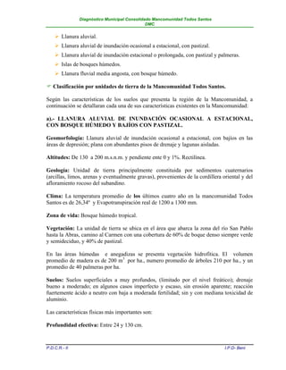 Diagnóstico Municipal Consolidado Mancomunidad Todos Santos
                                              DMC


     Llanura aluvial.
     Llanura aluvial de inundación ocasional a estacional, con pastizal.
     Llanura aluvial de inundación estacional o prolongada, con pastizal y palmeras.
     Islas de bosques húmedos.
     Llanura fluvial media angosta, con bosque húmedo.

 Clasificación por unidades de tierra de la Mancomunidad Todos Santos.

Según las características de los suelos que presenta la región de la Mancomunidad, a
continuación se detallaran cada una de sus características existentes en la Mancomunidad:

a).- LLANURA ALUVIAL DE INUNDACIÓN OCASIONAL A ESTACIONAL,
CON BOSQUE HÚMEDO Y BAJÍOS CON PASTIZAL.

Geomorfología: Llanura aluvial de inundación ocasional a estacional, con bajíos en las
áreas de depresión; plana con abundantes pisos de drenaje y lagunas aisladas.

Altitudes: De 130 a 200 m.s.n.m. y pendiente ente 0 y 1%. Rectilínea.

Geología: Unidad de tierra principalmente constituida por sedimentos cuaternarios
(arcillas, limos, arenas y eventualmente gravas), provenientes de la cordillera oriental y del
afloramiento rocoso del subandino.

Clima: La temperatura promedio de los últimos cuatro año en la mancomunidad Todos
Santos es de 26,34º y Evapotranspiración real de 1200 a 1300 mm.

Zona de vida: Bosque húmedo tropical.

Vegetación: La unidad de tierra se ubica en el área que abarca la zona del río San Pablo
hasta la Abras, camino al Carmen con una cobertura de 60% de boque denso siempre verde
y semideciduo, y 40% de pastizal.

En las áreas húmedas e anegadizas se presenta vegetación hidrofítica. El volumen
promedio de madera es de 200 m3 por ha., numero promedio de árboles 210 por ha., y un
promedio de 40 palmeras por ha.

Suelos: Suelos superficiales a muy profundos, (limitado por el nivel freático); drenaje
bueno a moderado; en algunos casos imperfecto y escaso, sin erosión aparente; reacción
fuertemente ácido a neutro con baja a moderada fertilidad; sin y con mediana toxicidad de
aluminio.

Las características físicas más importantes son:

Profundidad efectiva: Entre 24 y 130 cm.



P.D.C.R.- II                                                                     I.P.D- Beni
 