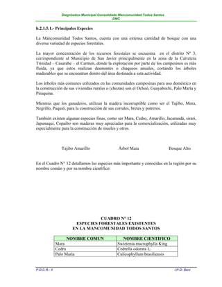 Diagnóstico Municipal Consolidado Mancomunidad Todos Santos
                                                 DMC


b.2.1.5.1.- Principales Especies

La Mancomunidad Todos Santos, cuenta con una extensa cantidad de bosque con una
diversa variedad de especies forestales.

La mayor concentración de los recursos forestales se encuentra en el distrito Nº 3,
correspondiente al Municipio de San Javier principalmente en la zona de la Carretera
Trinidad – Casarabe – el Carmen, donde la explotación por parte de los campesinos es más
fluida, ya que estos realizan desmontes o chaqueos anuales, cortando los árboles
maderables que se encuentran dentro del área destinada a esta actividad.

Los árboles más comunes utilizados en las comunidades campesinas para uso doméstico en
la construcción de sus viviendas rurales o (chozas) son el Ochoó, Guayabochi, Palo María y
Piraquina.

Mientras que los ganaderos, utilizan la madera incorruptible como ser el Tajibo, Mora,
Negrillo, Paquió, para la construcción de sus corrales, bretes y potreros.

También existen algunas especies finas, como ser Mara, Cedro, Amarillo, Jacarandá, sirari,
Japunaqui, Copaibo son maderas muy apreciadas para la comercialización, utilizadas muy
especialmente para la construcción de mueles y otros.



                  Tajibo Amarillo                 Árbol Mara                    Bosque Alto


En el Cuadro N° 12 detallamos las especies más importante y conocidas en la región por su
nombre común y por su nombre científico:




                                   CUADRO N° 12
                         ESPECIES FORESTALES EXISTENTES
                        EN LA MANCOMUNIDAD TODOS SANTOS

                    NOMBRE COMUN                     NOMBRE CIENTIFICO
               Mara                               Swietenia macrophylla King
               Cedro                              Cedrella odorata L.
               Palo María                         Calicophyllum brasiliensis


P.D.C.R.- II                                                                      I.P.D- Beni
 