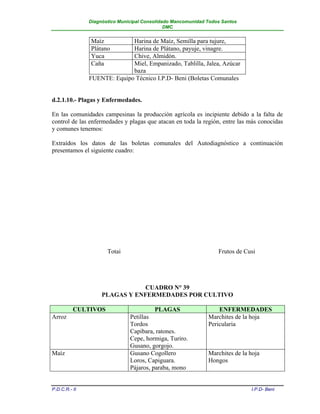 Diagnóstico Municipal Consolidado Mancomunidad Todos Santos
                                              DMC


               Maíz          Harina de Maíz, Semilla para tujure,
               Plátano       Harina de Plátano, payuje, vinagre.
               Yuca          Chive, Almidón.
               Caña          Miel, Empanizado, Tablilla, Jalea, Azúcar
                             baza
               FUENTE: Equipo Técnico I.P.D- Beni (Boletas Comunales


d.2.1.10.- Plagas y Enfermedades.

En las comunidades campesinas la producción agrícola es incipiente debido a la falta de
control de las enfermedades y plagas que atacan en toda la región, entre las más conocidas
y comunes tenemos:

Extraídos los datos de las boletas comunales del Autodiagnóstico a continuación
presentamos el siguiente cuadro:




                      Totai                                       Frutos de Cusi




                               CUADRO N° 39
                    PLAGAS Y ENFERMEDADES POR CULTIVO

          CULTIVOS                       PLAGAS                   ENFERMEDADES
Arroz                          Petillas                       Marchites de la hoja
                               Tordos                         Pericularia
                               Capibara, ratones.
                               Cepe, hormiga, Turiro.
                               Gusano, gorgojo.
Maíz                           Gusano Cogollero               Marchites de la hoja
                               Loros, Capiguara.              Hongos
                               Pájaros, paraba, mono


P.D.C.R.- II                                                                  I.P.D- Beni
 