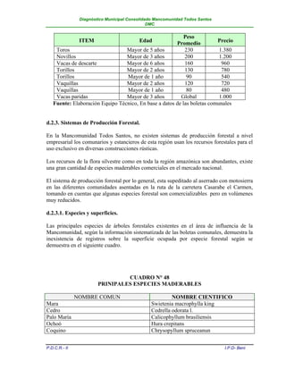 Diagnóstico Municipal Consolidado Mancomunidad Todos Santos
                                               DMC


                                                           Peso
                ITEM                      Edad         Promedio          Precio
    Toros                        Mayor de 5 años           230            1.380
    Novillos                     Mayor de 3 años           200            1.200
    Vacas de descarte            Mayor de 6 años           160             960
    Torillos                     Mayor de 2 años           130             780
    Torillos                     Mayor de 1 año             90             540
    Vaquillas                    Mayor de 2 años           120             720
    Vaquillas                    Mayor de 1 año             80             480
    Vacas paridas                Mayor de 3 años         Global           1.000
   Fuente: Elaboración Equipo Técnico, En base a datos de las boletas comunales


d.2.3. Sistemas de Producción Forestal.

En la Mancomunidad Todos Santos, no existen sistemas de producción forestal a nivel
empresarial los comunarios y estancieros de esta región usan los recursos forestales para el
uso exclusivo en diversas construcciones rústicas.

Los recursos de la flora silvestre como en toda la región amazónica son abundantes, existe
una gran cantidad de especies maderables comerciales en el mercado nacional.

El sistema de producción forestal por lo general, esta supeditado al aserrado con motosierra
en las diferentes comunidades asentadas en la ruta de la carretera Casarabe el Carmen,
tomando en cuentas que algunas especies forestal son comercializables pero en volúmenes
muy reducidos.

d.2.3.1. Especies y superficies.

Las principales especies de árboles forestales existentes en el área de influencia de la
Mancomunidad, según la información sistematizada de las boletas comunales, demuestra la
inexistencia de registros sobre la superficie ocupada por especie forestal según se
demuestra en el siguiente cuadro.




                                 CUADRO N° 48
                        PRINIPALES ESPECIES MADERABLES

               NOMBRE COMUN                              NOMBRE CIENTIFICO
Mara                                            Swietenia macrophylla king
Cedro                                           Cedrella odorata l.
Palo María                                      Calicophyllum brasiliensis
Ochoó                                           Hura crepitans
Coquino                                         Chrysopyllum spruceanun


P.D.C.R.- II                                                                   I.P.D- Beni
 