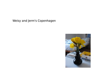 Weisy and Jerm's Copenhagen