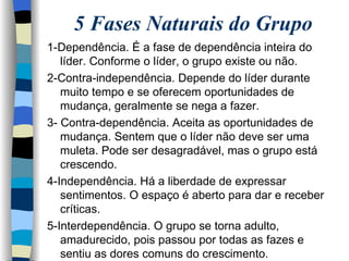 5 Fases Naturais do Grupo 1-Dependência. É a fase de dependência inteira do líder. Conforme o líder, o grupo existe ou não. 2-Contra-independência. Depende do líder durante muito tempo e se oferecem oportunidades de mudança, geralmente se nega a fazer. 3- Contra-dependência. Aceita as oportunidades de mudança. Sentem que o líder não deve ser uma muleta. Pode ser desagradável, mas o grupo está crescendo. 4-Independência. Há a liberdade de expressar sentimentos. O espaço é aberto para dar e receber críticas. 5-Interdependência. O grupo se torna adulto, amadurecido, pois passou por todas as fazes e  sentiu as dores comuns do crescimento. 