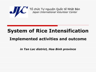System of Rice Intensification Implemented activities and outcome in Tan Lac district, Hoa Binh province Tổ chức Tự nguyện Quốc tế Nhật Bản Japan International Volunteer Center Japan International Volunteer Center 