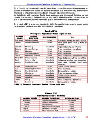 Plan de Desarrollo Municipal de Santa Ana – Yacuma - Beni

En el ámbito de las comunidades de Santa Ana, por ser literalmente homogéneas en
cuanto a características físicas, las especies forestales que existen en la jurisdicción del
Municipio se encuentran diseminadas en ellas, con bastantes diferencias.
La jurisdicción del municipio Santa Ana, presenta una diversidad florística, de uso
común, que permite a los habitantes de esta región sobrevivir en las condiciones en las
que se desenvuelven, sin más habilidad que la heredada de sus antepasados.

En el cuadro N°. 16 se da una descripción de la flora existente en la zona según su uso
de acuerdo a los datos extraídos de las boletas comunales:

                                     Cuadro N° 16
                      Principales Especies de Flora según su Uso.
  NOMBRE             NOMBRE
                                     DISPONIBILIDAD                   USOS
  COMUN             CIENTÍFICO
 Palo Balsa     Ochroma lagopus              Tallo para balsa y flor para colchón
                                          Escaso
 Cedrillo       Spondias mombim              Tallo para poste vivo y fruto p/
                                          Escaso
                                             vinagre
 Coca Silv   Myciaria sp.         Abundante  Hoja medicinal para infusión
 Coquino     Chrysophillum sp.      Escaso   Fruto comestible y para leña
 Piton       Abuta sp.              Escaso   Fruto comestible
 Sujo        Sterculiata apetala    Escaso   Fruto comestible
 Paquió      Hymenaea courbaril     Escaso   Fruto comestible y para construcción
 Almendrillo Dipterix odorata     Abundante  Arbol de Sombra y fruto comestible
 Totaí       Acromia totaí        Abundante  Hoja para forraje y fruto comestible
 Motacú      Scheelea princeps    Abundante  Hoja para techado, fruto para
                                             remedio
 Palma       Copermicia alba        Escaso   Construcciones rústicas
 Cusi        Orbiginia phalearata   Escaso   Fruto medicinal
 Tacuara     Orundo donax L.      Abundante  Construcciones rústicas
 Tutumo      Albertia sp.         Abundante  Fruto para uso doméstico
 Chuchío     Ginarium sagitatum   Abundante  Construcciones rústicas
 Guembé      Apeiba sp.           Abundante  Amarres diversos
 Pacay       Inga sp.             Abundante  Fruto comestible y para leña
 Curi        Guadua sp.           Abundante  Construcciones rústicas
FUENTE: Encuestas comunales Equipo Técnico I&PR 2007



                                     Cuadro N 17
                             Principales Especies Frutales
              NOMBRE COMÚN         NOMBRE CIENTÍFICO           ESTADO ACTUAL
              Achachairú            Sinphonia globifera           Abundante
              Guapomó               Rheedia bolivianensis           Escaso
              Lúcuma                Richardella sp.                 Escaso
              Guapurú               Piptadenia macrocarpa           Escaso
              Paquió                Hymeneae courbaril              Escaso
              Tarumá                Vitex aff cimosa, Bart.       Abundante


              Diagnóstico Municipal Consolidado – Elaborado por “ONG I&PR”               36
 