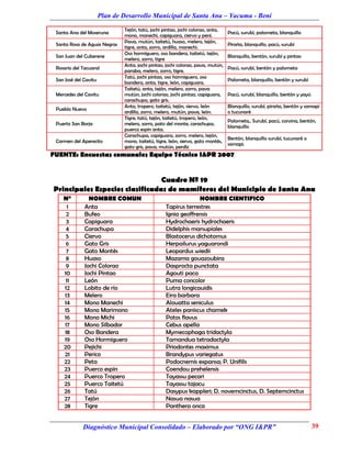 Plan de Desarrollo Municipal de Santa Ana – Yacuma - Beni
                               Tejón, tatú, jochi pintao, jochi colorao, anta,
 Santa Ana del Moseruna                                                           Pacú, surubí, palometa, blanquillo
                               mono, manechi, capiguara, ciervo y peni.
                               Pava, mutún, taitetú, huaso, melero, tejón,
 Santa Rosa de Aguas Negras                                                       Piraña, blanquillo, pacú, surubí
                               tigre, anta, zorro, ardilla, manechi.
                               Oso hormiguero, oso bandera, taitetú, tejón,
 San Juan del Cuberene                                                            Blanquillo, bentón, surubí y pintao
                               melero, zorro, tigre
                               Anta, jochi pintao, jochi colorao, pava, mutún,
 Rosario del Tacuaral                                                             Pacú, surubí, bentón y palometa
                               paraba, melero, zorro, tigre.
                               Tatú, jochi pintao, oso hormiguero, oso
 San José del Cavitu                                                              Palometa, blanquillo, bentón y surubí
                               bandera, anta, tigre, león, capiguara.
                               Taitetú, anta, tejón, melero, zorro, pava
 Mercedes del Cavitu           mutún, jochi colorao, jochi pintao, capiguara,     Pacú, surubí, blanquillo, bentón y yayú
                               carachupa, gato gris.
                               Anta, tropero, taitetú, tejón, siervo, león        Blanquillo, surubí, piraña, bentón y samapi
 Pueblo Nuevo
                               ardilla, zorro, melero, mutún, pava, león.         o tucunaré
                               Tigre, tatú, tejón, taitetú, tropero, león,
                                                                                  Palometa,. Surubí, pacú, corvina, bentón,
 Puerto San Borja              melero, zorro, pato del monte, carachupa,
                                                                                  blanquillo
                               puerco espín anta.
                               Carachupa, capiguara, zorro, melero, tejón,
                                                                                  Bentón, blanquillo surubí, tucunaré o
 Carmen del Aperecito          mono, taitetú, tigre, león, siervo, gato montés,
                                                                                  samapi.
                               gato gris, pava, mutún, perdíz
FUENTE: Encuestas comunales Equipo Técnico I&PR 2007


                                Cuadro Nº 19
Principales Especies clasificadas de mamíferos del Municipio de Santa Ana
    N°          NOMBRE COMUN                                    NOMBRE CIENTIFICO
      1       Anta                                 Tapirus terrestres
     2        Bufeo                                Ignia geoffrensis
     3        Capiguara                            Hydrochaeris hydrochaeris
     4        Carachupa                            Didelphis marsupiales
     5        Ciervo                               Blastocerus dichotomus
     6        Gato Gris                            Herpailurus yaguarondi
     7        Gato Montés                          Leopardus wiedii
     8        Huaso                                Mazama gouazoubira
     9        Jochi Colorao                        Dasprocta punctata
    10        Jochi Pintao                         Agouti paca
     11       León                                 Puma concolor
    12        Lobito de río                        Lutra longicauidis
    13        Melero                               Eira barbara
    14        Mono Manechi                         Alouatta seniculus
    15        Mono Marimono                        Ateles paniscus chamek
    16        Mono Michi                           Potos flavus
    17        Mono Silbador                        Cebus apella
    18        Oso Bandera                          Mymecophaga tridactyla
    19        Oso Hormiguero                       Tamandua tetradactyla
    20        Pejichi                              Priodontes maximus
    21        Perico                               Brandypus variegatus
    22        Peta                                 Podocnemis expansa; P. Unifilis
    23        Puerco espín                         Coendou prehelensis
    24        Puerco Tropero                       Tayassu pecari
    25        Puerco Taitetú                       Tayassu tajacu
    26        Tatú                                 Dasypus kappleri; D. novemcinctus, D. Septemcinctus
    27        Tejón                                Nasua nasua
    28        Tigre                                Panthera onca


             Diagnóstico Municipal Consolidado – Elaborado por “ONG I&PR”                                                   39
 