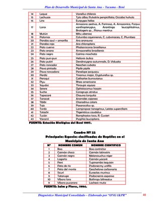 Plan de Desarrollo Municipal de Santa Ana – Yacuma - Beni

 14    Leque                     Vanellus chilensis
 15    Lechuzas                  Tyto alba; Pulsatrix perspicillata; Ciccaba huhula
 16    Lira                      Eurpygas helias
                                 Amazona aestiva, A. Farinosa, A. Amazonica, Forpus
 17    Loros                     xanthopterygius,        Arantinga        leucophtalmus,
                                 Brotogeris sp. , Pionus mentrus
18     Mutún                     Mitu uberosa
19     Palomas                   Columba cayennensis, C. cubvinacea, C. Plumbea
20     Paraba azul – amarilla    Ara ararauna
21     Paraba roja               Ara chloroptera
22     Pato cuervo               Phalacrocoras brasilianus
23     Pato enano                Amazonetta brasiliensis
24     Pato negro                Cairina moschata
25     Pato pun-pun              Helionis áulica
26     Pato putirí               Dendrocygna autumnalis, D. Viduata
27     Pato roncador             Neochen cubata
28     Pava pintada              Pipile pipile
29     Pava roncadora            Penelope jacquacu
30     Perdiz                    Tinamus major, Crypturellus sp.
31     Peroquí                   Cathartes burrovianus
32     Piyu                      Rhea americana
33     Sayubú                    Thraupis sayaza
34     Serere                    Ophistocomus hoazin
35     Sucha                     Coragrups atratus
36     Tapacaré                  Chauna torquita
37     Taracoé                   Aramides cajanea
38     Tibibi                    Charadrius colaris
39     Tojo                      Pasarocolius sp.
40     Tordo                     Lampropsar tanagrinus, Leistes superciliaris
41     Totachi                   Thgeristicus caudatus
42     Tucán                     Ramphastos toco, R. Cuvieri
43     Yacamí                    Psophia leucoptera.
FUENTE: Estación Biológica del Beni 1997.


                            Cuadro Nº 22
           Principales Especies clasificadas de Reptiles en el
                       Municipio de Santa Ana
               N°     NOMBRE COMUN           NOMBRE CIENTIFICO
                 1   Boa                    Boa contrictor
                2    Caimán choco           Caimán latirostris
                3    Caimán negro           Melanosuchus niger
                4    Lagarto                Caimán yacaré
                5    Peni                   Tupinambis tequixin
                6    Peta de río            Podonecmy unifilis
                7    Peta del monte         Geochelone carbonaria
                8    Sicurí                 Eunectes murinus
                9    Tataruga               Podocnemis expansa
               10    Víbora lora            Bothrops bilineatus
                11   Víbora pucarara        Lachesis muta
          FUENTE: Salm y Flores, 1994.

      Diagnóstico Municipal Consolidado – Elaborado por “ONG I&PR”                         41
 