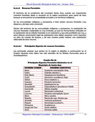 Plan de Desarrollo Municipal de Santa Ana – Yacuma - Beni

b.2.1.5     Recursos Forestales

El territorio de la jurisdicción del municipio Santa Ana, cuenta con importantes
manchas forestales dada su situación en la región amazónica, gran parte de estos
bosques se encuentran en propiedades privadas y en territorios indígenas.

En las comunidades indígenas y campesinas si bien existen recursos forestales muy
dispersos y de bajo valor comercial.

Dentro del territorio de las comunidades indígenas y campesinas, la explotación de
recursos forestales maderables es muy limitada, ya que las herramientas utilizadas en
la explotación de los árboles forestales es la motosierra y que está prohibido por Ley, y
para obtener autorización legal de explotación estos deben presentar como requisitos
un plan de manejo de bosque, y de esta manera poder realizar una explotación
adecuada de estos recursos.


b.2.1.5.1     Principales Especies de recursos forestales.

Las principales especies que existen en la región se detallan a continuación en el
Cuadro siguiente estos datos han sido extraídos de las Boletas Comunales para el
Autodiagnóstico.

                                  Cuadro No 23
                  Principales Especies Forestales Existentes en el
                             Municipio de Santa Ana
              NOMBRE COMUN                NOMBRE CIENTIFICO
              Mara                 Swietenia macrophylla. King
              Cedro                Cedrella odorata. L.
              Palo María           Calophylumm brasiliensis
              Cuchi                Astronium urundeuva. Engl.
              Ochoó                Hura crepitans. L.
              Coquino              Pouteria nemorosa
              Gavetillo            Aspidosperma sp.
              Guayabochi           Calycophyllum spruceanum. Hook.
              Jacarandá            Albizia niopides
              Laurel               Nectandra turbacensis
              Lúcuma               Pouteria macrophylla. Eyma
              Mora                 Morus excelsa
              Negrillo             Nectandra spp. Ocotea spp.
              Amarillo             Vochrysia guianensis
              Paquió               Hymenaea courbaril L.
              Piraquina            Guatteria sp.
              Sangre de Toro       Virola sebífera
              Sirari               Ormosia nobilis

            Diagnóstico Municipal Consolidado – Elaborado por “ONG I&PR”              42
 
