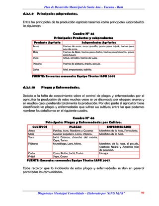 Plan de Desarrollo Municipal de Santa Ana – Yacuma - Beni

d.2.1.9 Principales subproductos.

Entre los principales de la producción agrícola tenemos como principales subproductos
los siguientes:

                                    Cuadro N° 45
                        Principales Productos y subproductos
        Producto Agrícola                       Subproductos Agrícolas
       Arroz                   Harina de arroz, arroz granillo, grano para tujuré, harina para
                               pan de arroz.
       Maíz                    Harina de Maíz, harina para chicha, harina para biscocho, grano
                               para tujuré.
       Yuca                    Chivé, almidón, harina de yuca.

       Plátano                 Harina de plátano, chipilo, payuje.

       Caña                    Miel, empanizado, tablilla.

      FUENTE: Encuestas comunales Equipo Técnico I&PR 2007


d.2.1.10       Plagas y Enfermedades.

Debido a la falta de conocimiento sobre el control de plagas y enfermedades por el
agricultor la producción de estos muchas veces se ve diezmada por ataques severos y
en muchos casos perdiendo totalmente la producción. Por otra parte el agricultor tiene
identificada las plagas y enfermedades que sufren sus cultivos; entre las que podemos
nombrar las detallamos en el siguiente cuadro.

                                 Cuadro N° 46
                 Principales Plagas y Enfermedades por Cultivo.
      CULTIVOS                      PLAGAS                           ENFERMEDADES
   Arroz               Petillas, Aves, Roedores y Gusanos Marchites de la hoja, Pericularia.
   Maíz                Gusano Cogollero, Loros, Pájaros.  Marchites de la hoja.
   Yuca                Jochi Colorau, chancho del monte,
                       Cepe, Turiro
   Plátano             Murciélago, Loro, Mono.            Marchites de la hoja, el picudo,
                                                          Sigatoca Negra y Amarilla mal
                                                          de panamá.
   Caña                Zorro, Ratón, Jochi, Turiro        Hongos
   Fréjol              Sepe, Guaso
  FUENTE: Encuestas comunales Equipo Técnico I&PR 2007

Cabe recalcar que la incidencia de estas plagas y enfermedades se dan en general
para todas las comunidades.




            Diagnóstico Municipal Consolidado – Elaborado por “ONG I&PR”                         99
 
