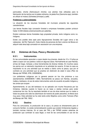 Diagnóstico Municipal Consolidado de San Ignacio de Moxos


 paniculata), chonta (Astrocaryum chonta). Las plantas más utilizadas para la
 fabricación de los techos son la jatata ordinaria y la jatata fina (Geonoma spp), también
 se utilizan el motacú (Scheelea princeps) y palla.
 Problemas y potencialidades
 La situación de los recursos forestales del municipio presenta las siguientes
 características:
 Las tierras fiscales bajo concesión forestal a empresas forestales pueden producir
 hasta 12.500 dólares americanos/año por patentes.
 Existen extensas tierras forestales bajo propiedad privada, tanto indígena como no-
 indígena.
 Existe una posible área apta para Agrupaciones Sociales del Lugar cerca a las
 cabeceras del Río Tijamuchí. Hubo interés de personas de San Lorenzo de Moxos en
 adquirir esta área bajo concesión en asociación con una empresa.



8.5.      Sistemas de Caza, Pesca y Recolección
 8.5.1.         Instrumentos
 En las comunidades aprenden a cazar desde muy jóvenes, desde los 12 o 13 años ya
 salen a cazar con sus padres o solos en algunos casos. Normalmente se usan flechas,
 armas de fuego, trampas y otras herramientas de diversa índoles. En muchos casos
 los perros son un elemento importante en la actividad de cacería. Si bien la caza es
 importante no es una actividad que se realiza a diario como la pesca, que por el
 contrario es una actividad que se practica sin distinción de edad ni sexo (Plan de
 Manejo del TIPNIS, IFRI, CIDDEBENI).
 Los pobladores indígenas por lo general pescan en los ríos próximos a sus
 asentamientos (CIDDEBENI 1.989). Normalmente se pesca con flechas, anzuelos,
 mallas y barbasco, el uso de estos instrumentos varía de acuerdo al pueblo indígena y
 las zonas que ocupan.
 Aparentemente, el uso del barbasco no es aplicado con mucha frecuencia por los
 trinitarios. Además cuando lo hacen es en base a ciertas normas para evitar
 contaminar los ríos. Se ha reportado también el uso de otras resinas que no matan a
 todos los peces sino sólo los adormecen de manera de poder pescarlos, el efecto dura
 muy poco. Esta actividad se ha visto tanto entre Mojeños como entre Tsimane (Plan
 de Manejo del TIM, 1993)´.

 8.5.2.         Destino
 Para los comunarios, la producción de la caza y la pesca es directamente para el
 consumo familiar, no existe comercialización puesto que existen limitaciones legales y
 también normas internas. En el caso del TIM y del TIPNIS existen sistemas de
 protección que controlan la caza ilegal, a nivel de las comunidades el uso de los




 CIDDEBENI – Gobierno Municipal de Moxos                                               92
 