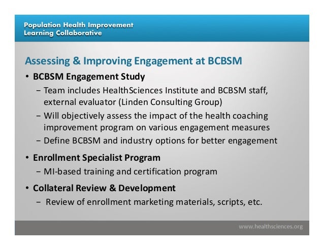 What is the BCBSM Health Assessment?
