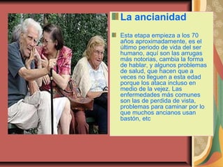 La ancianidad
Esta etapa empieza a los 70
años aproximadamente, es el
último periodo de vida del ser
humano, aquí son las arrugas
más notorias, cambia la forma
de hablar, y algunos problemas
de salud, que hacen que a
veces no lleguen a esta edad
porque los ataca incluso en
medio de la vejez. Las
enfermedades más comunes
son las de perdida de vista,
problemas para caminar por lo
que muchos ancianos usan
bastón, etc
 