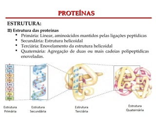 Bioquímica Celular – Prof. Júnior
PROTEÍNAS
PROTEÍNAS
ESTRUTURA:
II) Estrutura das proteínas
 Primária: Linear, aminoácidos mantidos pelas ligações peptídicas
 Secundária: Estrutura helicoidal
 Terciária: Enovelamento da estrutura helicoidal
 Quaternária: Agregação de duas ou mais cadeias polipeptídicas
enoveladas.
 