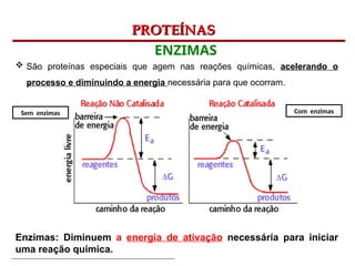 Bioquímica Celular – Prof. Júnior
PROTEÍNAS
PROTEÍNAS
ENZIMAS
.
 São proteínas especiais que agem nas reações químicas, acelerando o
processo e diminuindo a energia necessária para que ocorram.
Enzimas: Diminuem a energia de ativação necessária para iniciar
uma reação química.
Sem enzimas Com enzimas
 