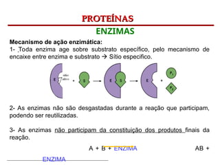Bioquímica Celular – Prof. Júnior
PROTEÍNAS
PROTEÍNAS
ENZIMAS
.
Mecanismo de ação enzimática:
1- Toda enzima age sobre substrato específico, pelo mecanismo de
encaixe entre enzima e substrato  Sítio especifico.
2- As enzimas não são desgastadas durante a reação que participam,
podendo ser reutilizadas.
3- As enzimas não participam da constituição dos produtos finais da
reação.
A + B + ENZIMA AB +
ENZIMA
 