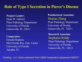 Role of Type I Secretion in Pierce’s Disease Project Leader:  Dean W. Gabriel Plant Pathology Department University of Florida Gainesville, FL 32611 Cooperator:   Donald Hopkins Mid Florida Res. Edu. Center University of Florida Apopka, FL  Postdoctoral Associate : Shujian Zhang Plant Pathology Department University of Florida Gainesville, FL  32611 Funding:  U.C. Davis subaward from USDA Cooperative Agreement SA6477 Research Associate : Stephanie Reddy Plant Pathology Department University of Florida Gainesville, FL  32611 