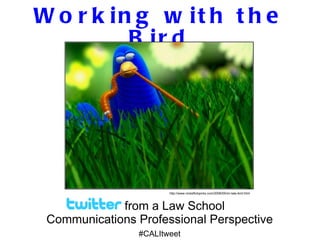 Working with the Bird from a Law School  Communications Professional Perspective #CALItweet http://www.nicksflickpicks.com/2006/05/im-late-bird.html 