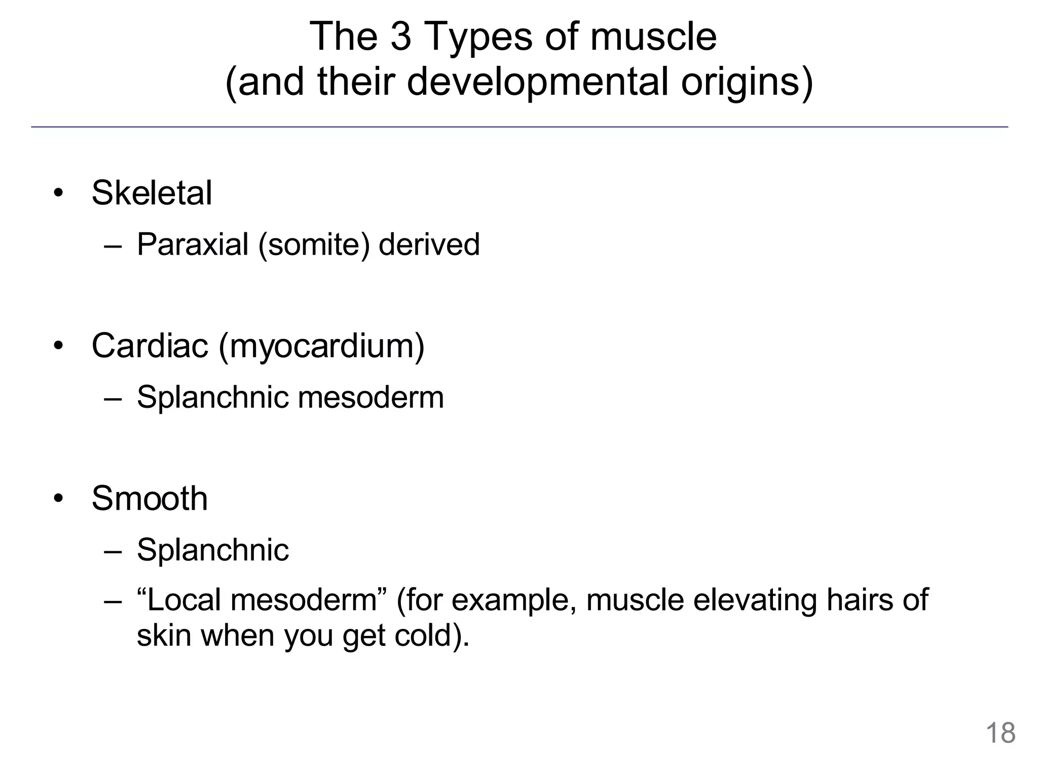 The 3 Types of muscle  (and their developmental origins) Skeletal Paraxial (somite) derived Cardiac (myocardium) Splanchnic mesoderm Smooth Splanchnic  “ Local mesoderm” (for example, muscle elevating hairs of skin when you get cold).  