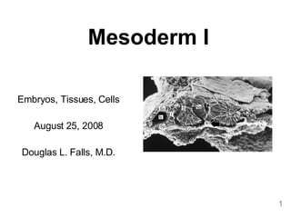 Mesoderm I Embryos, Tissues, Cells August 25, 2008 Douglas L. Falls, M.D. 