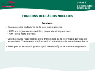 FUNCIONS DELS ÀCIDS NUCLEICS
Unitat 3.
Biomolècules
orgàniques
Funcions
• Són molècules portadores de la informació genètica.
- ADN: en organismes eucariotes, procariotes i alguns virus.
- ARN: en la resta de virus.
• Són molècules responsables de la transmissió de la informació genètica en
les cèl·lules. Transmeten la informació d’un individu a la seva descendència.
• Participen en l’execució (transcripció i traducció) de la informació genètica.
 