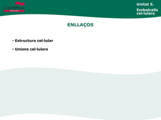 ENLLAÇOS
• Estructura cel·lular
• Unions cel·lulars
Unitat 5.
Embolcalls
cel·lulars
 