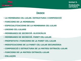 Unitat 5.
Embolcalls
cel·lulars
ÍNDEX
• LA MEMBRANA CEL·LULAR. ESTRUCTURA I COMPOSICIÓ
• FUNCIONS DE LA MEMBRANA
• ESPECIALITZACIONS DE LA MEMBRANA CEL·LULAR
• UNIONS CEL·LULARS
• MEMBRANES DE SECRECIÓ. GLICOCÀLIX
• MEMBRANES DE SECRECIÓ. PARET CEL·LULAR
• PROPIETATS I FUNCIONS DE LA PARET CEL·LULAR
• MODIFICACIONS DE LA PARET CEL·LULAR SECUNDÀRIA
• COMPOSICIÓ I ESTRUCTURA DE LA MATRIU EXTRACEL·LULAR
• FUNCIONS DE LA MATRIU EXTRACEL·LULAR
• ENLLAÇOS
 