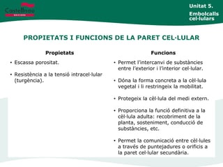 PROPIETATS I FUNCIONS DE LA PARET CEL·LULAR
Propietats Funcions
• Escassa porositat.
• Resistència a la tensió intracel·lular
(turgència).
• Permet l’intercanvi de substàncies
entre l’exterior i l’interior cel·lular.
• Dóna la forma concreta a la cèl·lula
vegetal i li restringeix la mobilitat.
• Protegeix la cèl·lula del medi extern.
• Proporciona la funció definitiva a la
cèl·lula adulta: recobriment de la
planta, sosteniment, conducció de
substàncies, etc.
• Permet la comunicació entre cèl·lules
a través de puntejadures o orificis a
la paret cel·lular secundària.
Unitat 5.
Embolcalls
cel·lulars
 