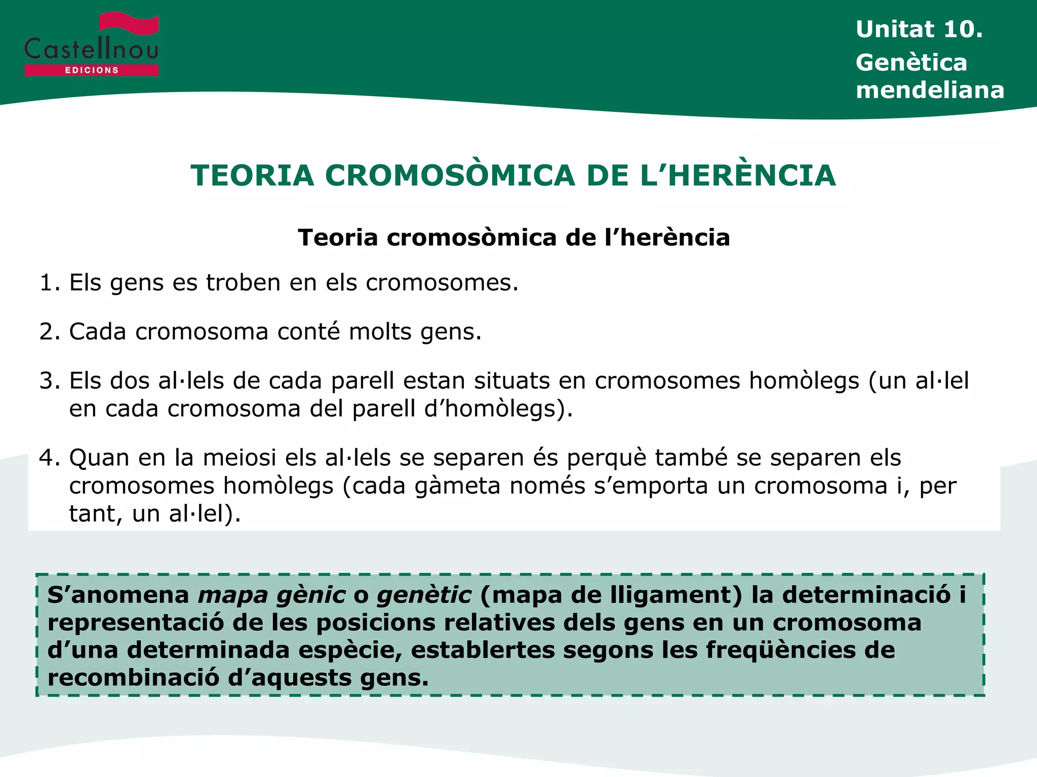 TEORIA CROMOSÒMICA DE L’HERÈNCIA
Unitat 10.
Genètica
mendeliana
Teoria cromosòmica de l’herència
1. Els gens es troben en els cromosomes.
2. Cada cromosoma conté molts gens.
3. Els dos al·lels de cada parell estan situats en cromosomes homòlegs (un al·lel
en cada cromosoma del parell d’homòlegs).
4. Quan en la meiosi els al·lels se separen és perquè també se separen els
cromosomes homòlegs (cada gàmeta només s’emporta un cromosoma i, per
tant, un al·lel).
S’anomena mapa gènic o genètic (mapa de lligament) la determinació i
representació de les posicions relatives dels gens en un cromosoma
d’una determinada espècie, establertes segons les freqüències de
recombinació d’aquests gens.
 