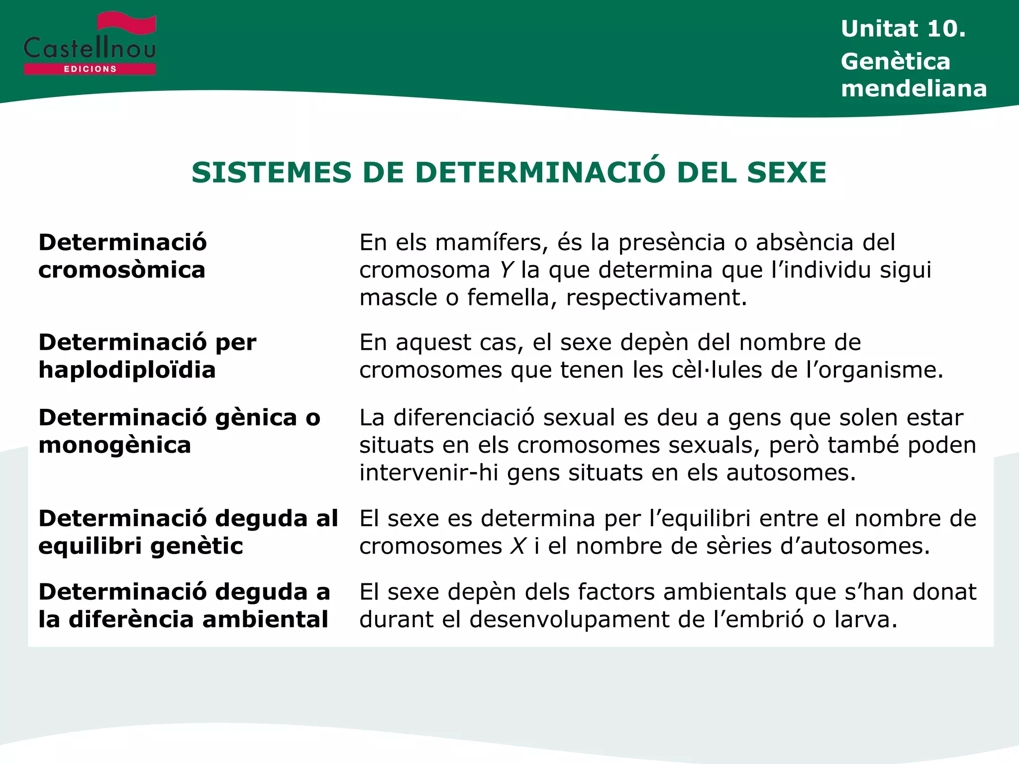 SISTEMES DE DETERMINACIÓ DEL SEXE
Unitat 10.
Genètica
mendeliana
Determinació
cromosòmica
En els mamífers, és la presència o absència del
cromosoma Y la que determina que l’individu sigui
mascle o femella, respectivament.
Determinació per
haplodiploïdia
En aquest cas, el sexe depèn del nombre de
cromosomes que tenen les cèl·lules de l’organisme.
Determinació gènica o
monogènica
La diferenciació sexual es deu a gens que solen estar
situats en els cromosomes sexuals, però també poden
intervenir-hi gens situats en els autosomes.
Determinació deguda al
equilibri genètic
El sexe es determina per l’equilibri entre el nombre de
cromosomes X i el nombre de sèries d’autosomes.
Determinació deguda a
la diferència ambiental
El sexe depèn dels factors ambientals que s’han donat
durant el desenvolupament de l’embrió o larva.
 
