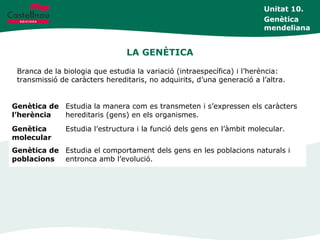 LA GENÈTICA
Branca de la biologia que estudia la variació (intraespecífica) i l’herència:
transmissió de caràcters hereditaris, no adquirits, d’una generació a l’altra.
Unitat 10.
Genètica
mendeliana
Genètica de
l’herència
Estudia la manera com es transmeten i s’expressen els caràcters
hereditaris (gens) en els organismes.
Genètica
molecular
Estudia l’estructura i la funció dels gens en l’àmbit molecular.
Genètica de
poblacions
Estudia el comportament dels gens en les poblacions naturals i
entronca amb l’evolució.
 
