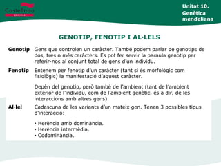 GENOTIP, FENOTIP I AL·LELS
Unitat 10.
Genètica
mendeliana
Genotip Gens que controlen un caràcter. També podem parlar de genotips de
dos, tres o més caràcters. Es pot fer servir la paraula genotip per
referir-nos al conjunt total de gens d’un individu.
Fenotip Entenem per fenotip d’un caràcter (tant si és morfològic com
fisiològic) la manifestació d’aquest caràcter.
Depèn del genotip, però també de l’ambient (tant de l’ambient
exterior de l’individu, com de l’ambient genètic, és a dir, de les
interaccions amb altres gens).
Al·lel Cadascuna de les variants d’un mateix gen. Tenen 3 possibles tipus
d’interacció:
• Herència amb dominància.
• Herència intermèdia.
• Codominància.
 