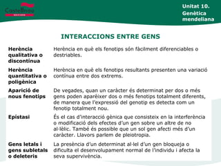INTERACCIONS ENTRE GENS
Unitat 10.
Genètica
mendeliana
Herència
qualitativa o
discontínua
Herència en què els fenotips són fàcilment diferenciables o
destriables.
Herència
quantitativa o
poligènica
Herència en què els fenotips resultants presenten una variació
contínua entre dos extrems.
Aparició de
nous fenotips
De vegades, quan un caràcter és determinat per dos o més
gens poden aparèixer dos o més fenotips totalment diferents,
de manera que l’expressió del genotip es detecta com un
fenotip totalment nou.
Epístasi És el cas d’interacció gènica que consisteix en la interferència
o modificació dels efectes d’un gen sobre un altre de no
al·lèlic. També és possible que un sol gen afecti més d’un
caràcter. Llavors parlem de pleiotropia.
Gens letals i
gens subletals
o deleteris
La presència d’un determinat al·lel d’un gen bloqueja o
dificulta el desenvolupament normal de l’individu i afecta la
seva supervivència.
 