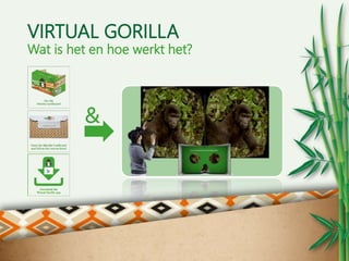VIRTUAL GORILLA
Wat is het en hoe werkt het?
&
 