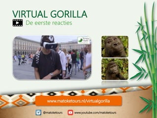 VIRTUAL GORILLA
De eerste reacties
@matoketours www.youtube.com/matoketours
www.matoketours.nl/virtualgorilla
 