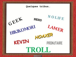 Quelques tribus… GEEK NERD NOLIFE HIKIKOMORI TROLL LAMER KEVIN PRON E TAIRE HOAXER 