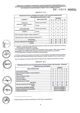 RESOLUCIÓN VICEMINISTERIAL 081 - 2015