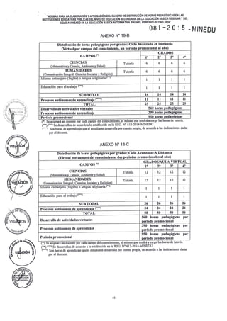 RESOLUCIÓN VICEMINISTERIAL 081 - 2015