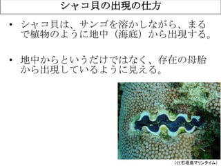 61
（Cf.石垣島マリンタイム）
シャコ貝の出現の仕方
• シャコ貝は、サンゴを溶かしながら、まる
で植物のように地中（海底）から出現する。
• 地中からというだけではなく、存在の母胎
から出現しているように見える。
 