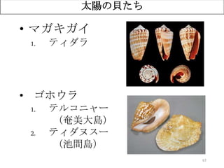 67
太陽の貝たち
• マガキガイ
1. ティダラ
• ゴホウラ
1. テルコニャー
（奄美大島）
2. ティダヌスー
（池間島）
 
