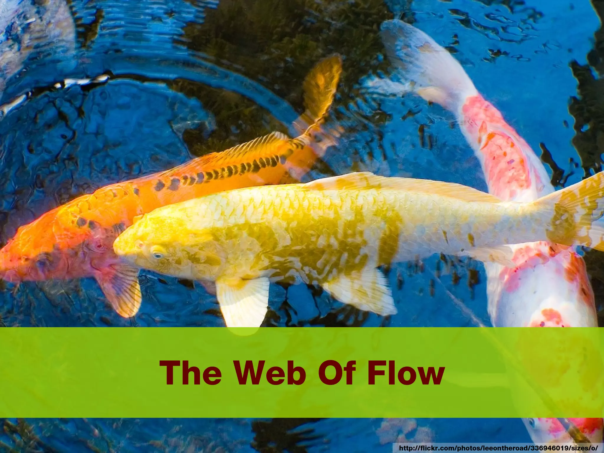 The Web Of Flow http://flickr.com/photos/leeontheroad/336946019/sizes/o/ 