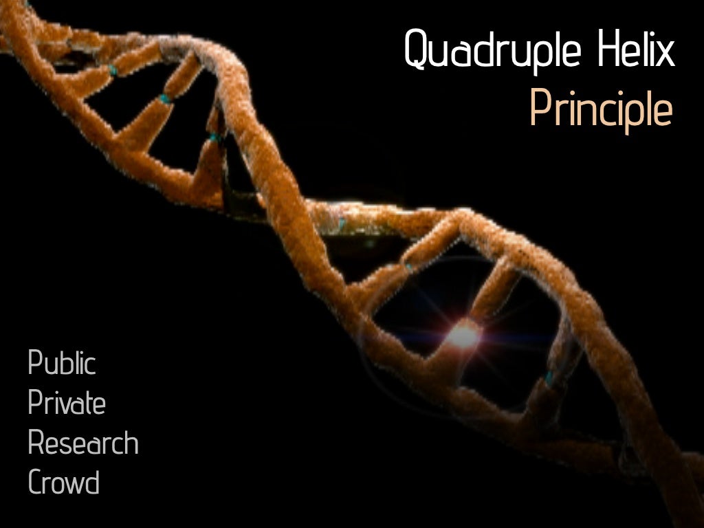 Quadruple Helix Principle Public Private