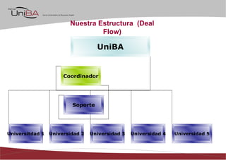 UniBA com a estructura Nuestra Estructura  (Deal Flow) UniBA Universitdad 1 Universidad 2 Universidad 3 Coordinador Univer...